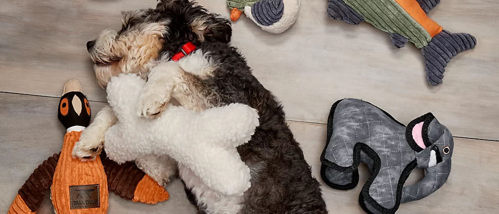 A small dog cuddling a white plush toy on the floor, surrounded by various animal-shaped stuffed dog toys including a duck, fish, and elephant.