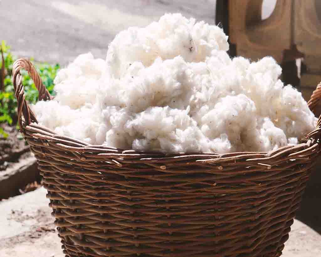 Organic cotton filling for smart plush toys