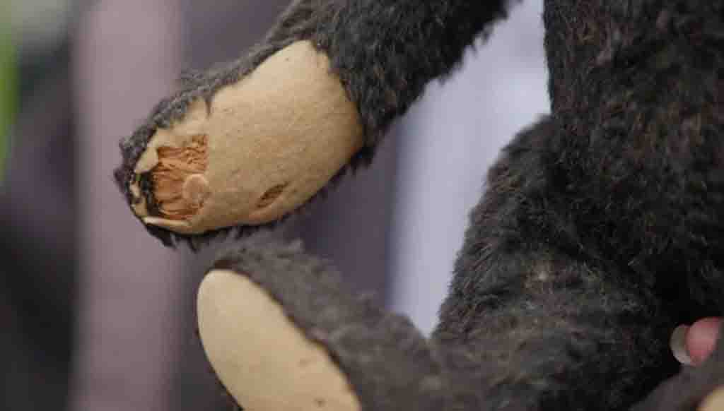 Close-up of worn vintage teddy bear paw with visible stuffing damage.