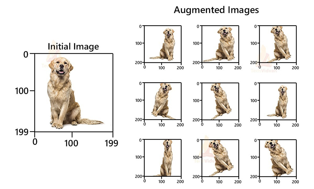 Diagram showing an initial dog image on the left and multiple augmented variations on the right, including rotated, shifted, and zoomed versions.
