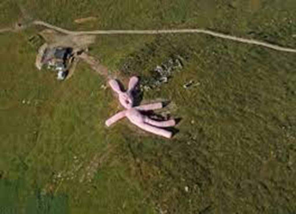 Enormous pink stuffed bunny sprawled across a grassy hillside viewed from above.