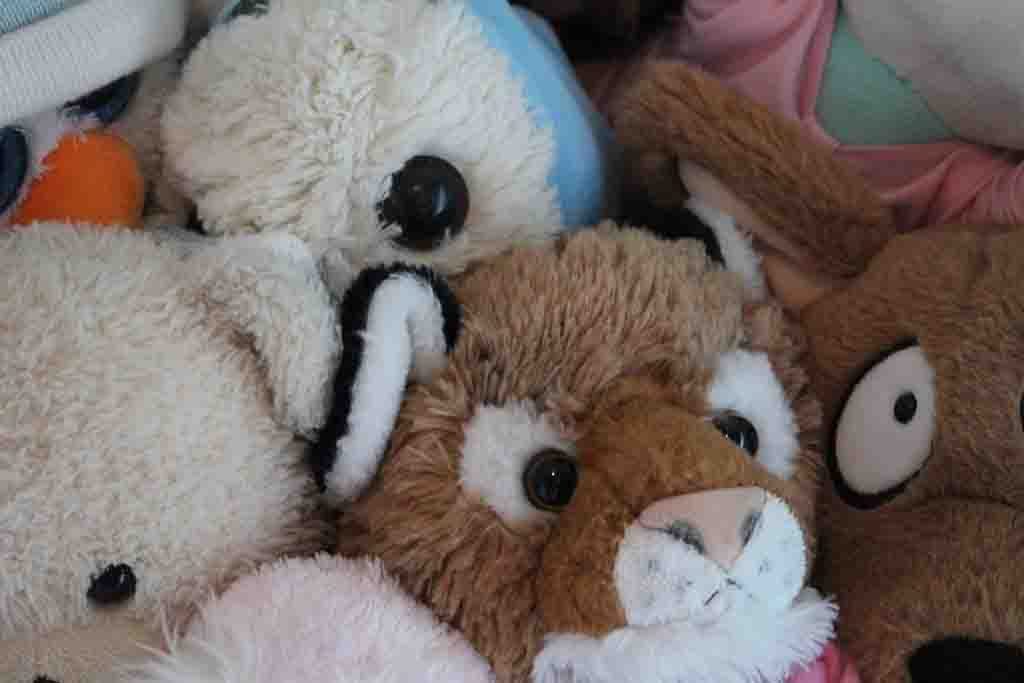 Close-up view of a mixed pile of plush toys with large button eyes, including a lion and other soft animals.