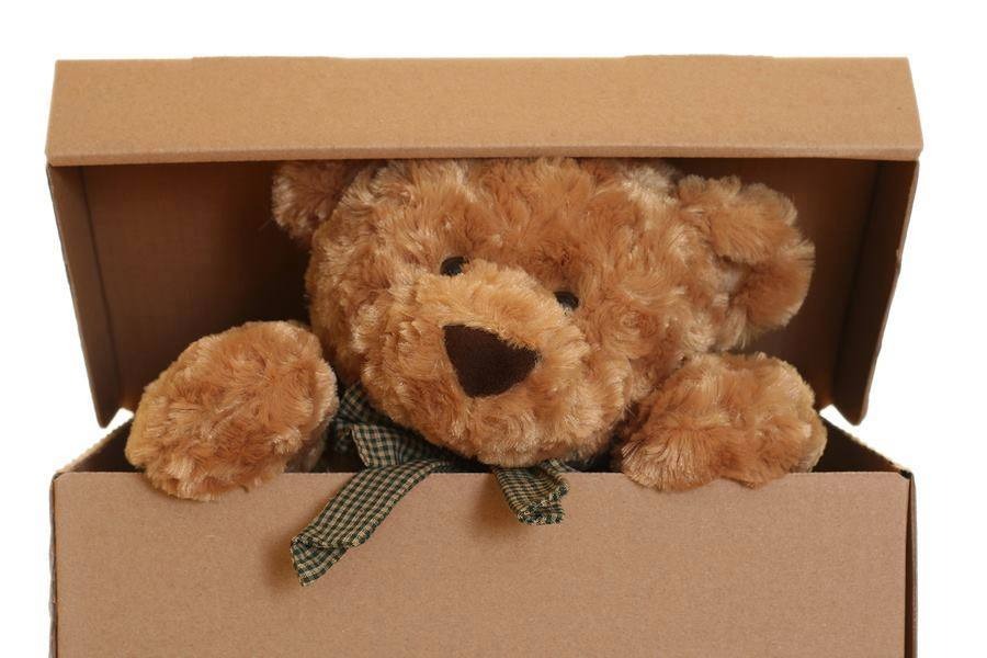 Brown teddy bear with a checkered ribbon bow peeking out of a cardboard box.