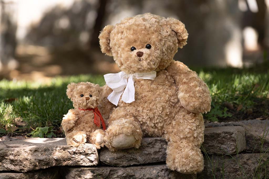 Large and small teddy bears with ribbons sitting on stone steps in a grassy outdoor setting.