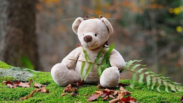 Plush teddy bear sitting on green moss with autumn leaves and ferns in a natural forest setting.