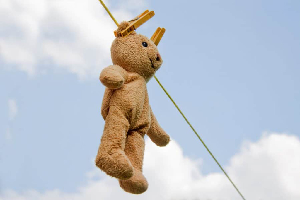 Teddy bear drying in sunlight