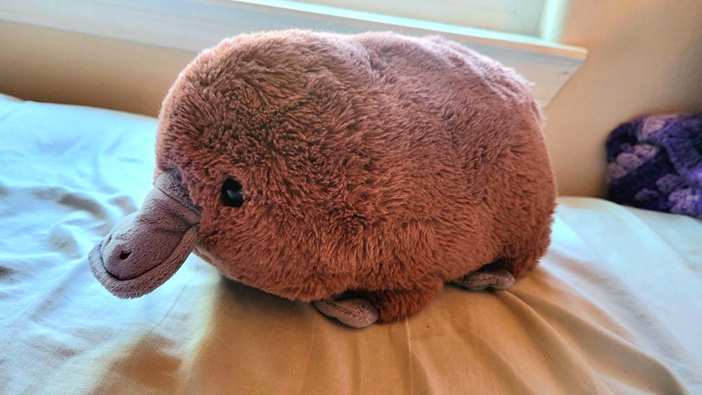 A soft brown platypus plush toy with a rounded body and fabric bill sitting on a bed near a window.