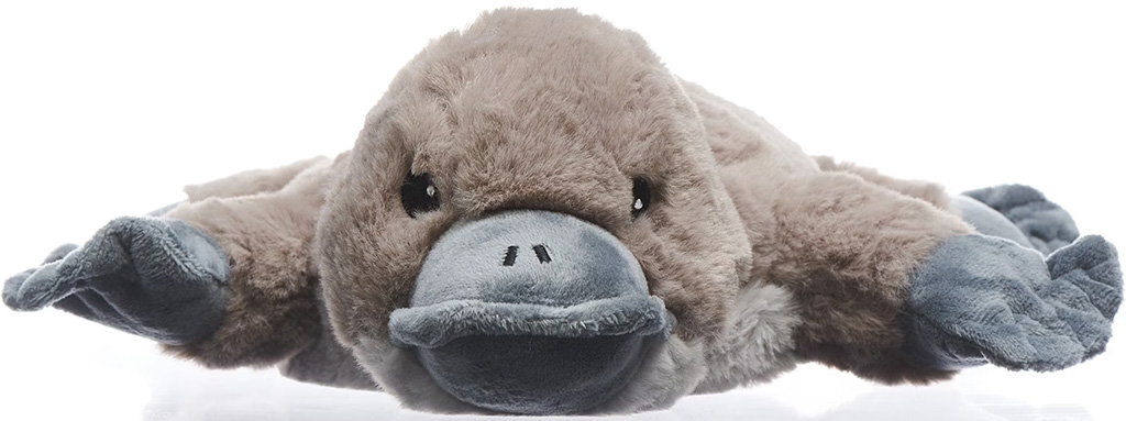 Soft brown and gray plush platypus toy lying flat on its belly with flippered limbs and a bill, displayed on a white background.