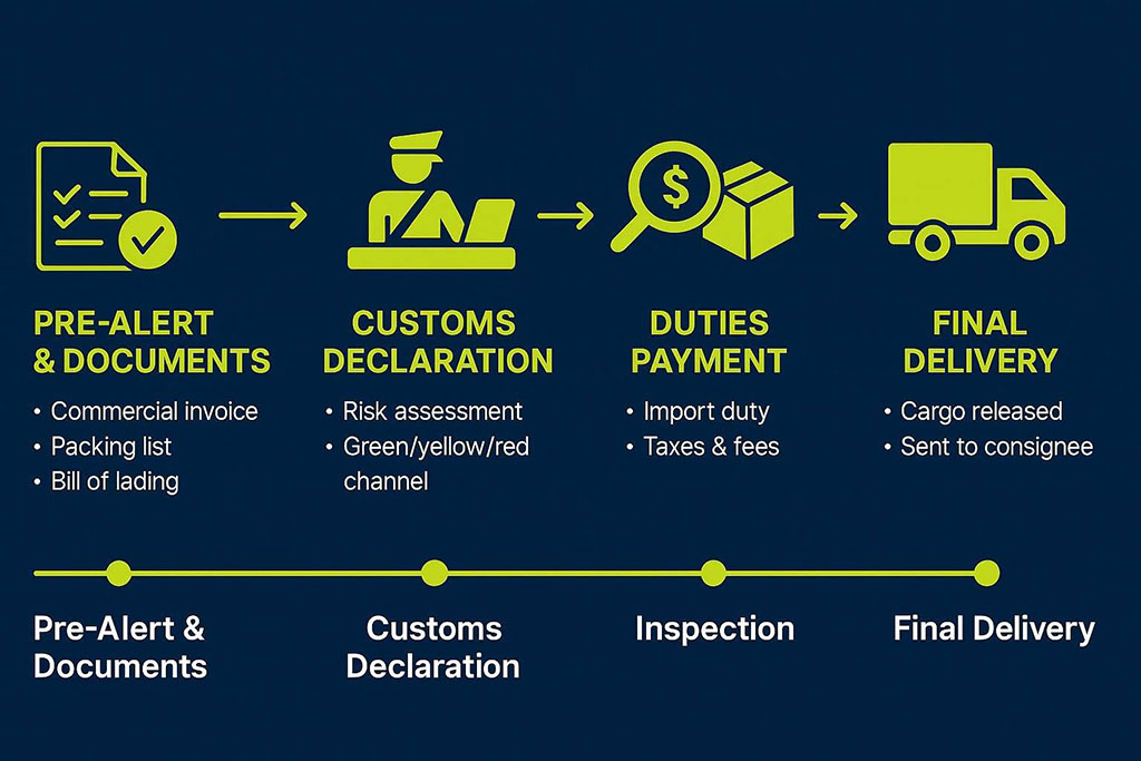 Step-by-step infographic showing customs clearance process including pre-alert documents, customs declaration, duties payment, and final delivery stages.