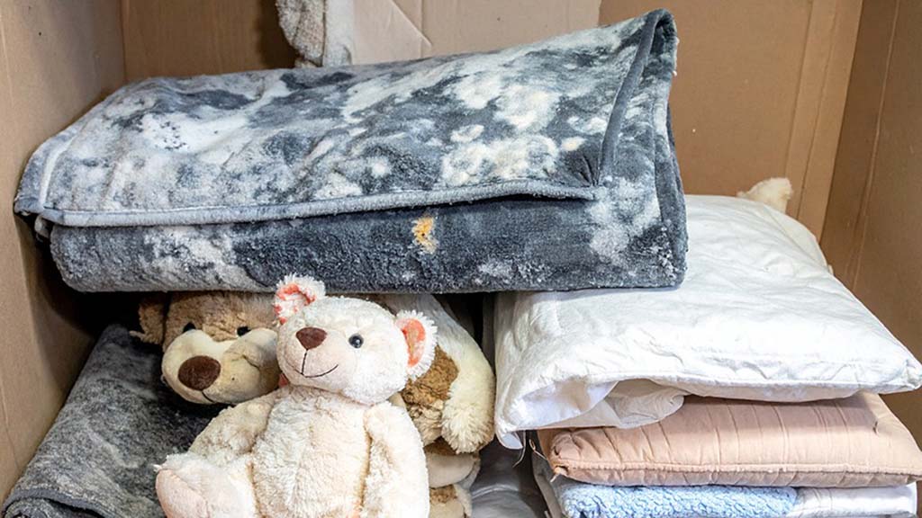 Plush toys and blankets covered in visible mold spots, showing severe moisture contamination and improper storage conditions.