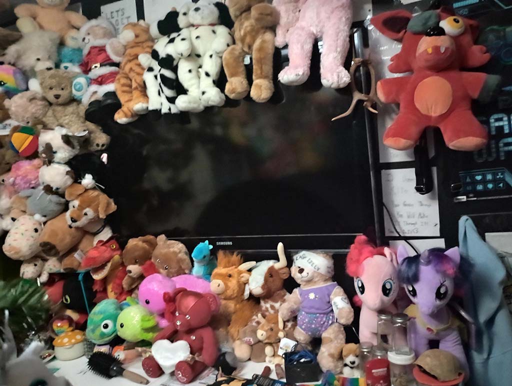 A personal collection of plush toys arranged around a television, featuring various animals and characters in different colors and sizes.