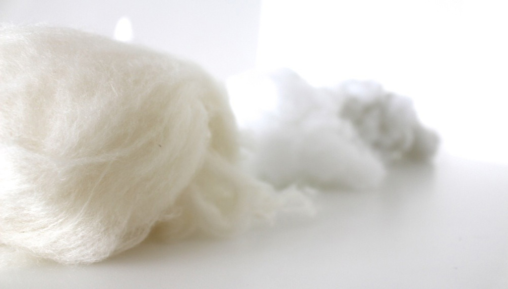 Close-up view of soft natural wool fiber and synthetic polyester fiber used as stuffing for plush toys on a white background.