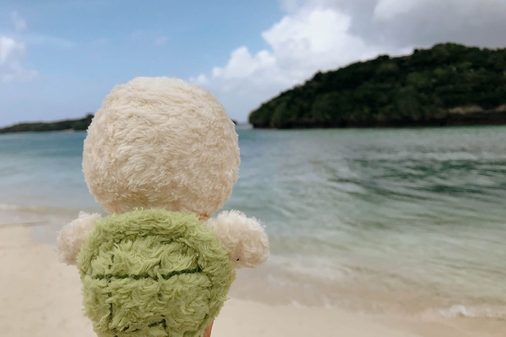 Cute plush toy wearing a green turtle shell looking at the ocean from a sandy beach with an island in the background.