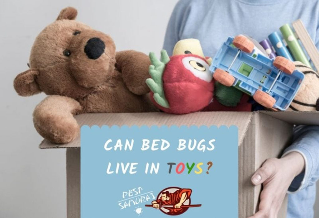 A person holding a cardboard box filled with plush and plastic toys, including a teddy bear and toy car, with a sign reading “Can Bed Bugs Live in Toys?”