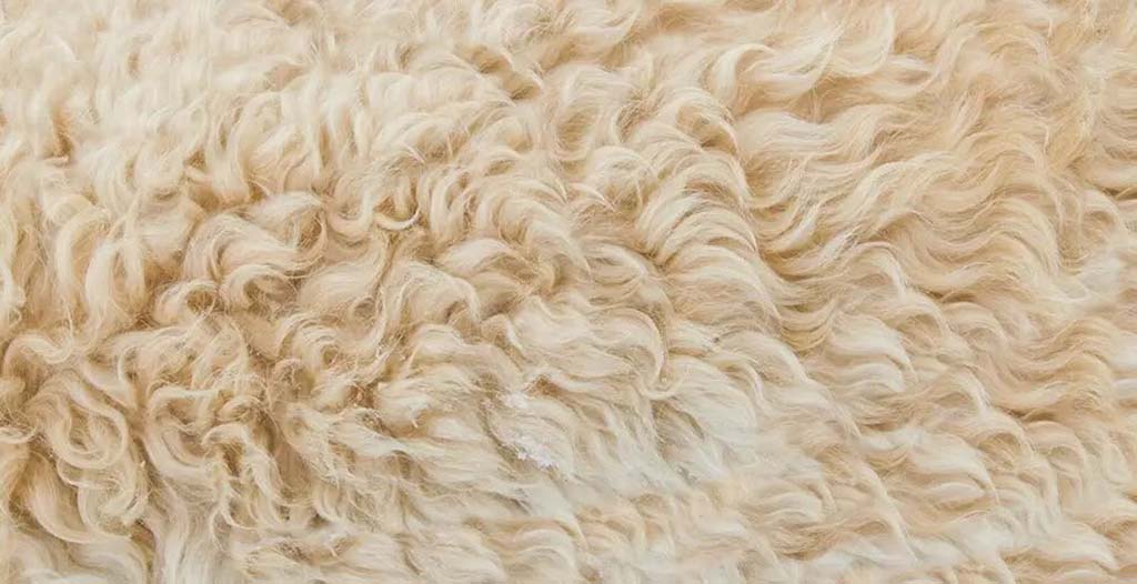 Sherpa teddy fleece fabric for plush toys