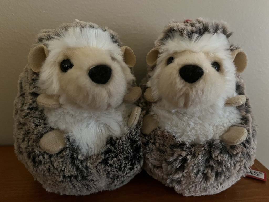 Two round plush hedgehog toys with soft fur and cute faces sitting side by side on a wooden surface.