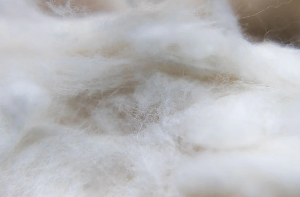 Close-up view of fluffy white cotton fiber filling used for plush toys and stuffed animals.