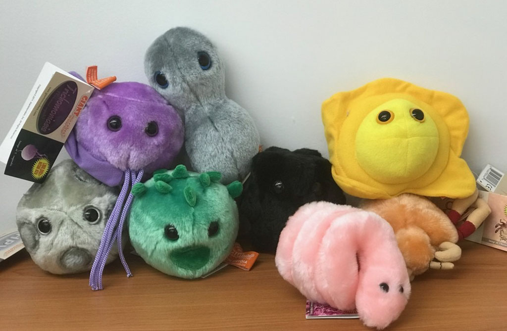 A group of colorful plush toys shaped like microbes, including green, purple, yellow, pink, gray, and black designs, displayed on a wooden table.