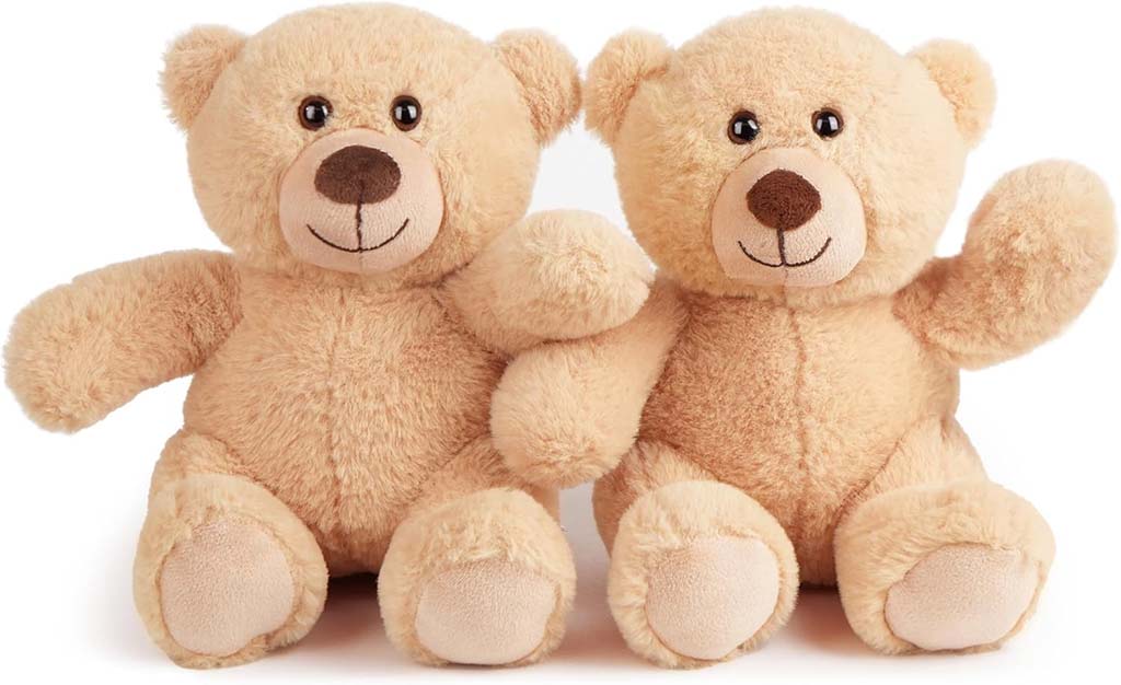 Two identical light brown teddy bears sitting side by side, smiling with open arms on a white background.