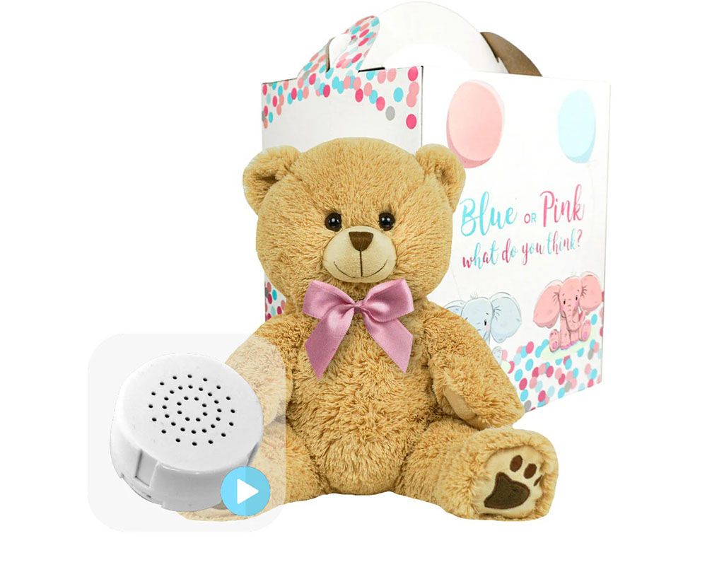 Brown teddy bear with a pink bow sitting in front of a gender reveal box, featuring an inset image of a round sound module for voice or music playback.