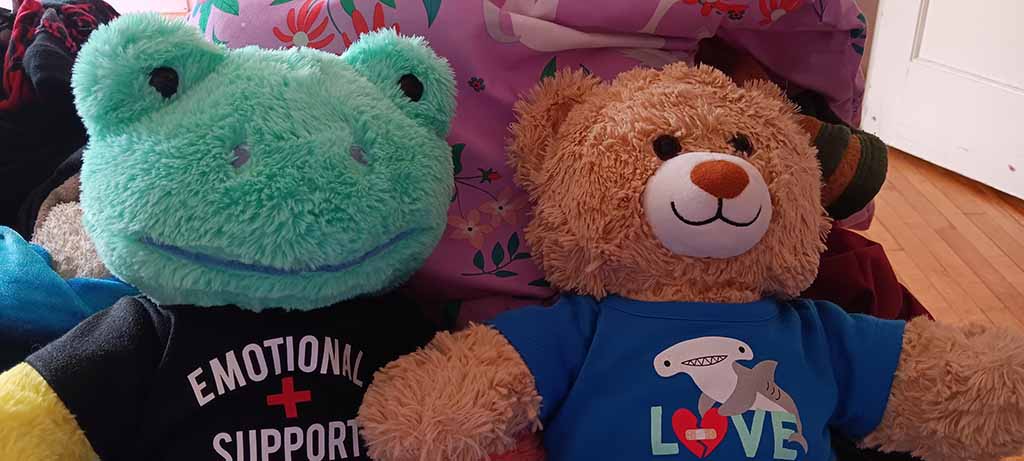 Two plush toys sit side by side: a mint-green frog wearing an “Emotional Support” shirt and a brown teddy bear in a blue “Love” shark-themed shirt, surrounded by colorful blankets indoors.