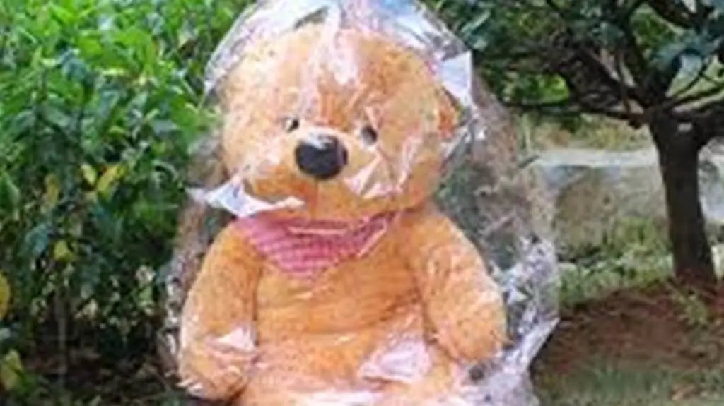 Large brown teddy bear wrapped in clear protective plastic packaging, sitting outdoors near green bushes to show safe transport and storage.