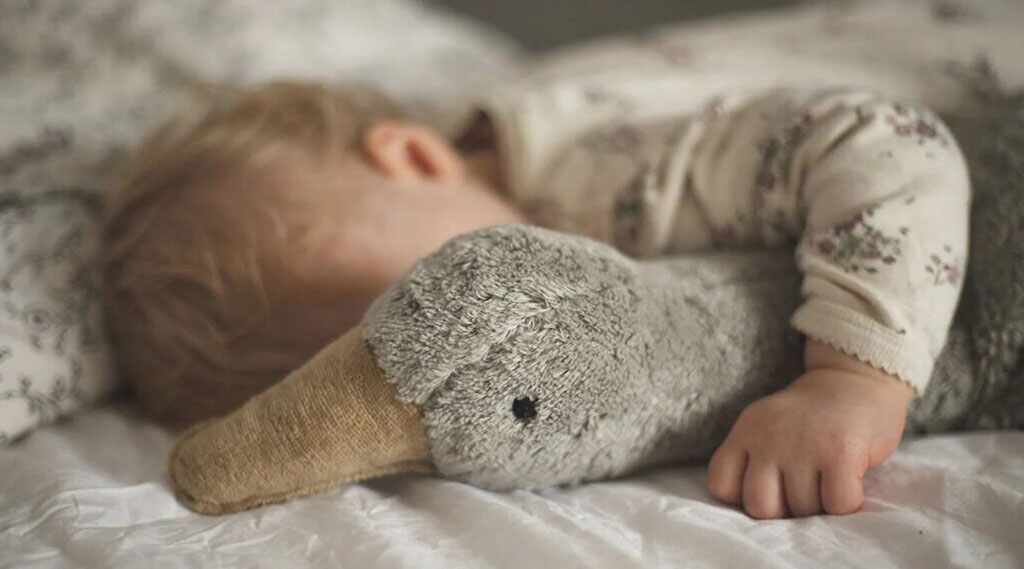 A small baby sleeping while holding a soft grey goose plush toy on a bed.