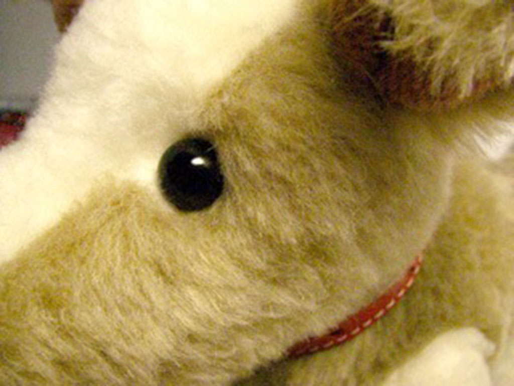 Close-up view of a plush toy’s plastic safety eye securely attached to soft fabric, showing safe construction and stitching detail.