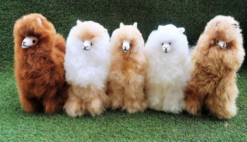 Group of fluffy alpaca plush toys in white, beige, and brown colors standing on green grass with soft, realistic fur textures.
