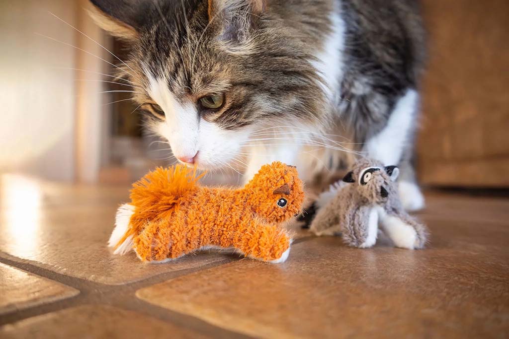 Domestic cat sniffing two small plush toy animals—an orange fuzzy toy and a gray raccoon toy—while standing on a tiled floor.