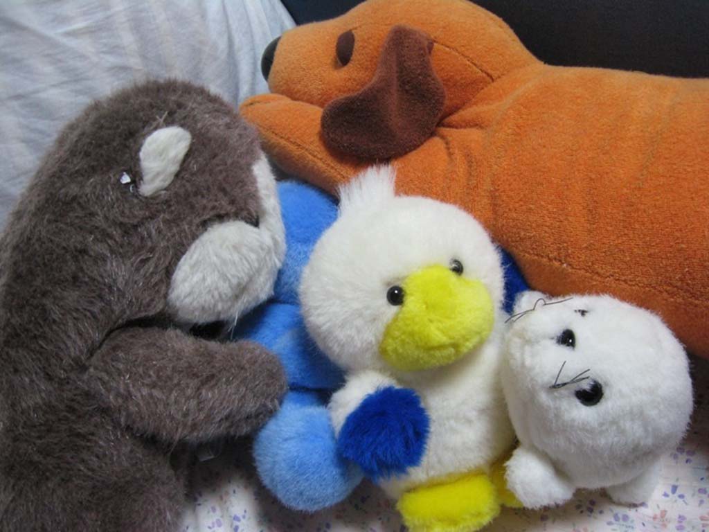 Close-up of several soft plush toys including a brown otter, orange dog, white and yellow bird, and small white seal cuddled together on a bed.