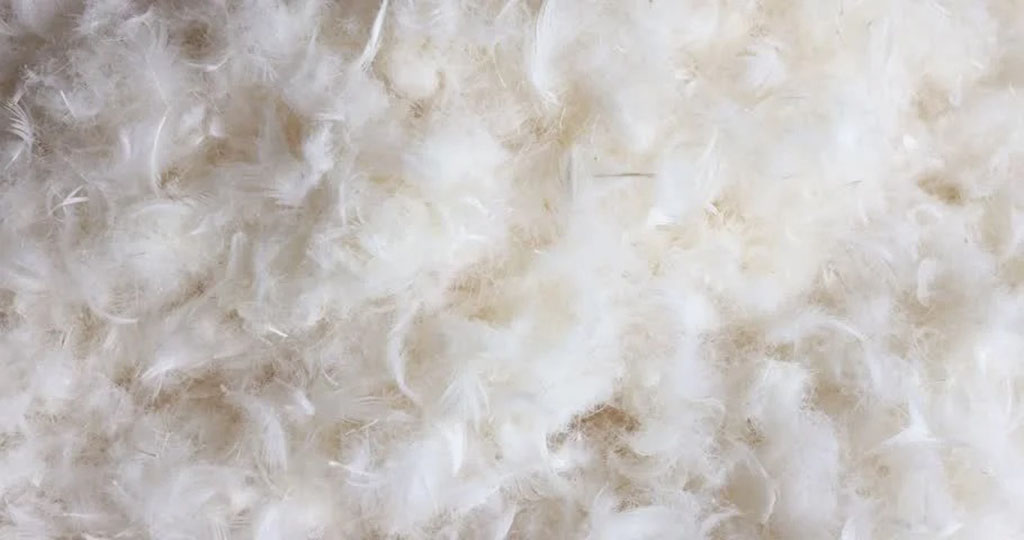 Close-up of soft white down feathers used as natural stuffing material for plush toys, pillows, and high-end cushions.