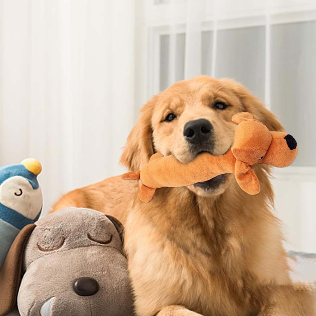 Golden retriever sitting indoors with an orange plush dog toy in its mouth, surrounded by other stuffed toys.