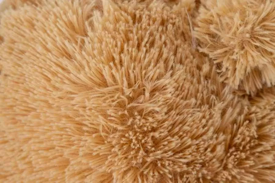 Close-up view of soft beige plush toy fur showing dense fibers and fuzzy texture.