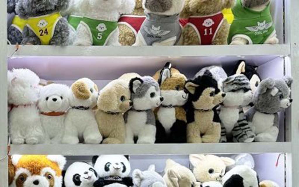A variety of stuffed animal toys, including dogs, pandas, and other plush characters, arranged neatly on multi-level display shelves in a store or showroom.