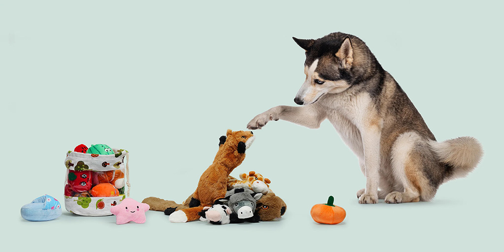 Husky dog sitting on a light background and gently touching a plush toy fox, surrounded by various stuffed animal toys and a fabric storage bag.