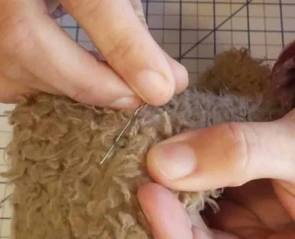 Close-up of hands using a needle and thread to stitch a torn seam on a fluffy stuffed animal.