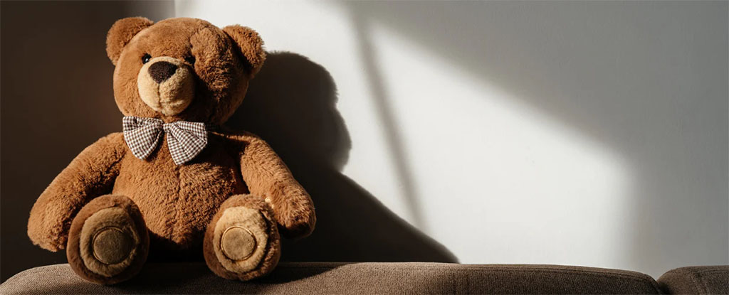 Brown teddy bear with a bow tie sitting on a sofa in warm sunlight.