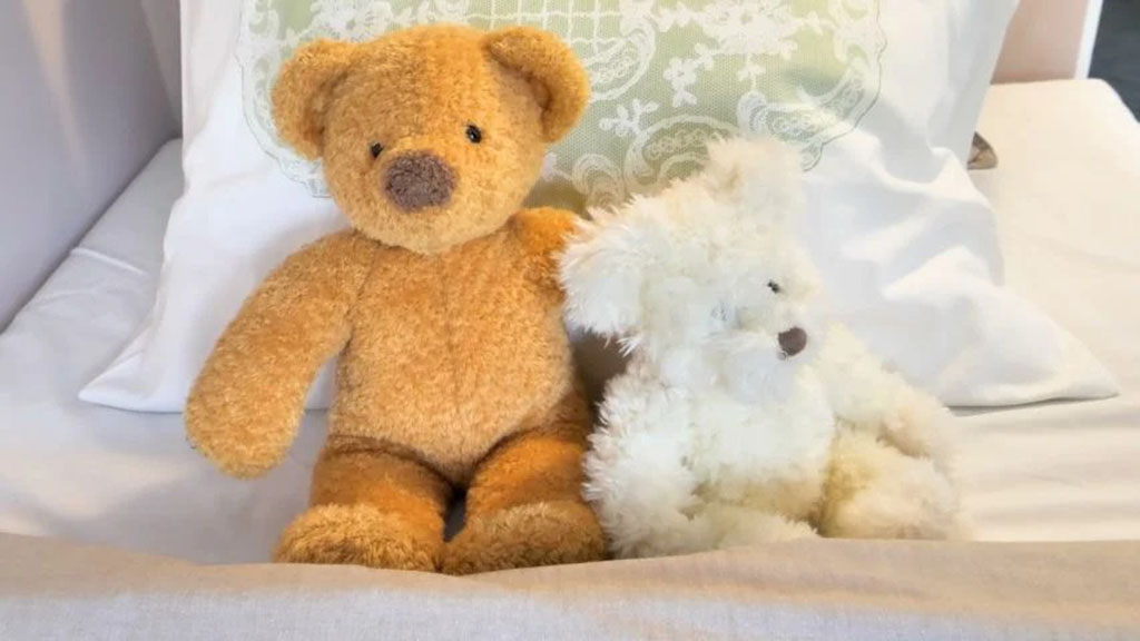 Brown and white teddy bears sitting side by side on a neatly made bed with white pillows and a light green cushion.