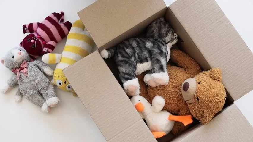 A cardboard box filled with plush toys, including a teddy bear, a gray cat, and a white duck, with additional stuffed animals lying beside the box on a white surface.