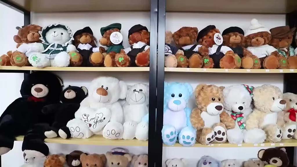 Shelves filled with various teddy bears in different colors, outfits, and designs, neatly arranged in rows inside a display or showroom.