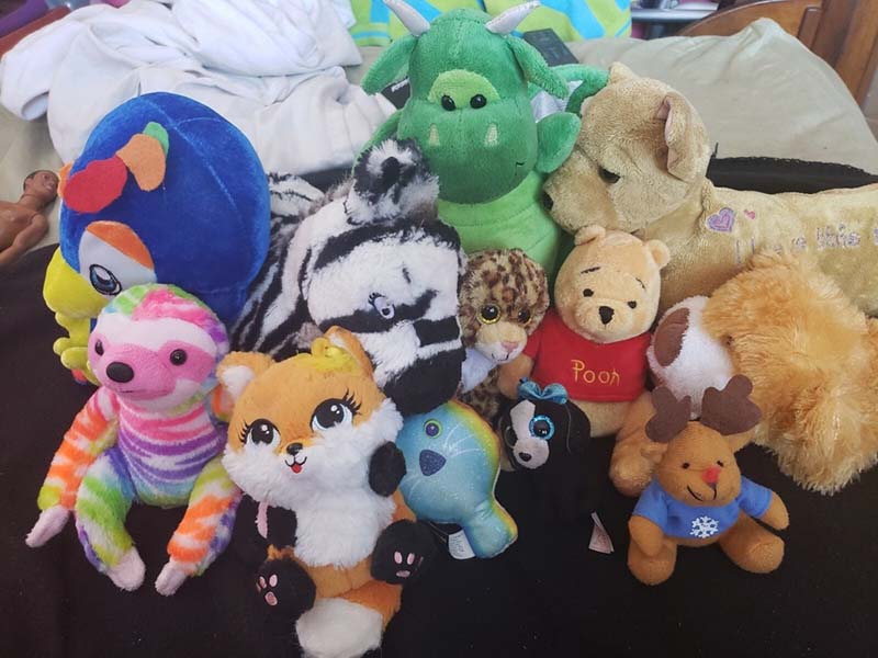 A group of colorful stuffed animals including a sloth, fox, zebra, dragon, leopard, Pooh bear, reindeer, penguin, and puppy arranged together on a bed.