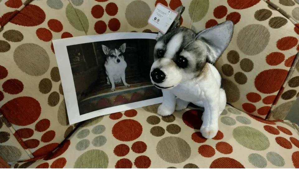 Custom pet replica stuffed dog displayed beside its printed photo reference on a patterned chair, highlighting realistic likeness and craftsmanship