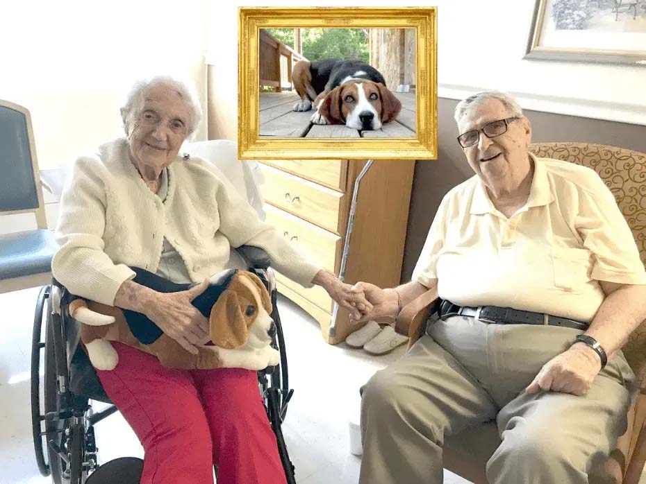 Elderly couple holding hands in a care home setting, with the woman seated in a wheelchair holding a realistic plush dog, and a framed photo of the real dog displayed above them.