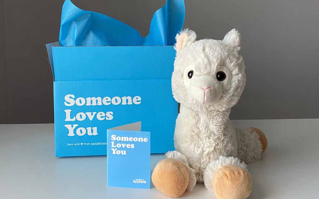 A soft white llama plush toy with fluffy textured fabric and rounded hooves, presented beside a blue gift box reading “Someone Loves You,” making it ideal as a comforting stuffed animal gift for adults, children, or special occasions.