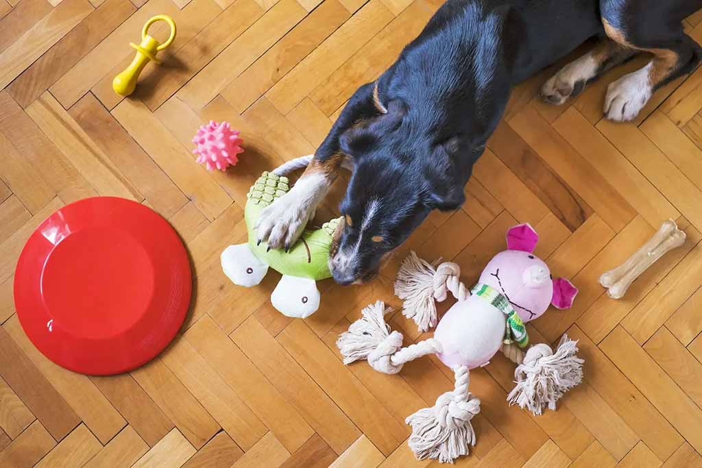 A black and brown dog chews on a green plush toy while lying on a wooden floor surrounded by various dog toys, including a pink rope plush doll, a red frisbee, a yellow chew toy, a pink spiky ball, and a bone.