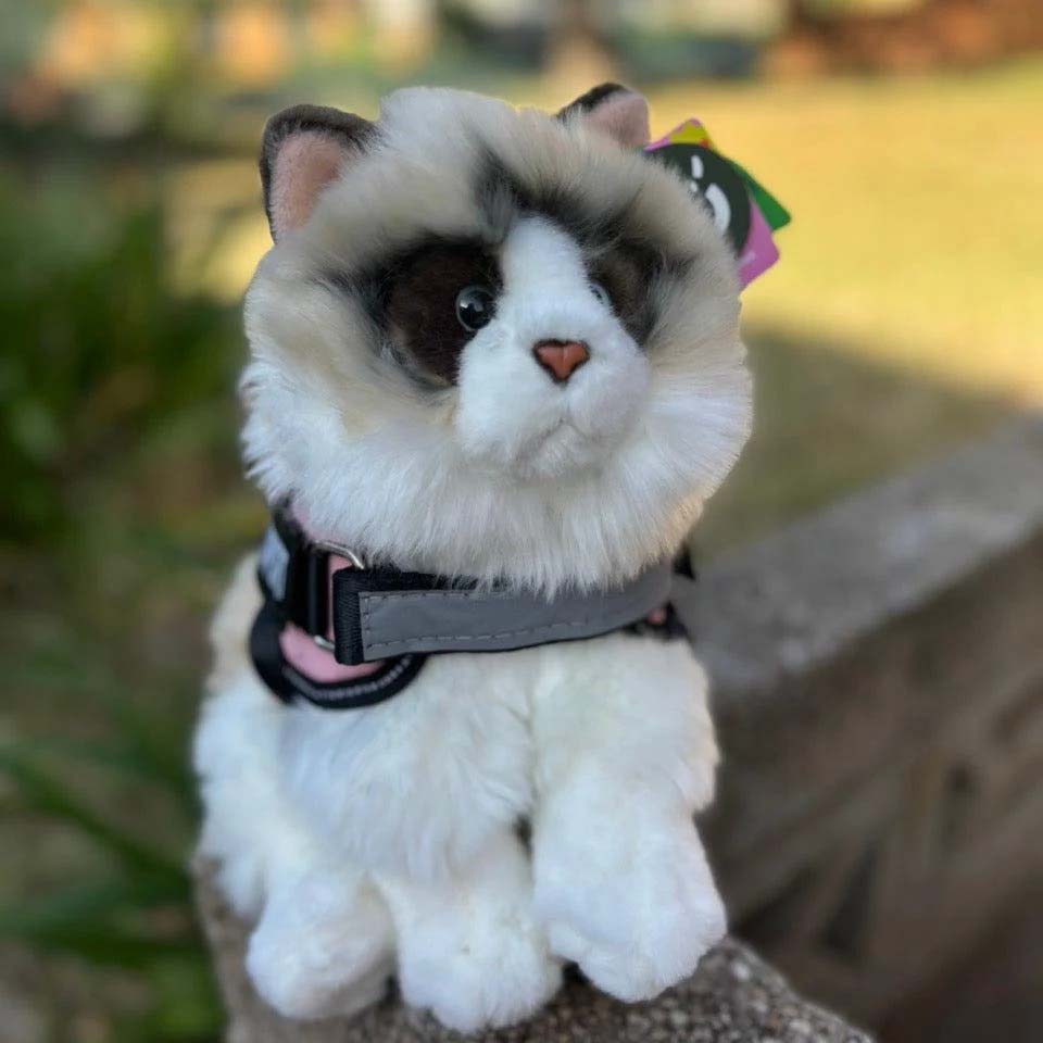 Realistic ragdoll cat plush toy with fluffy white and brown fur, blue eyes, and a pink nose, wearing a small harness while posed outdoors on a stone surface.