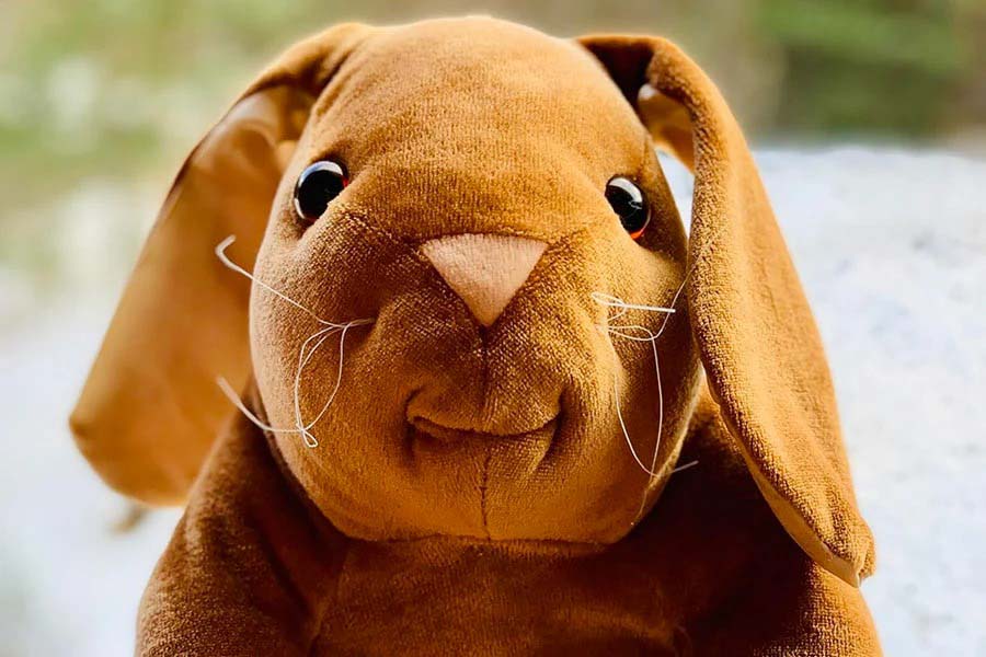 Close-up of a brown velveteen rabbit plush toy with floppy ears, embroidered nose, stitched mouth, and fine white whisker threads, showing a soft matte texture and gentle facial expression.