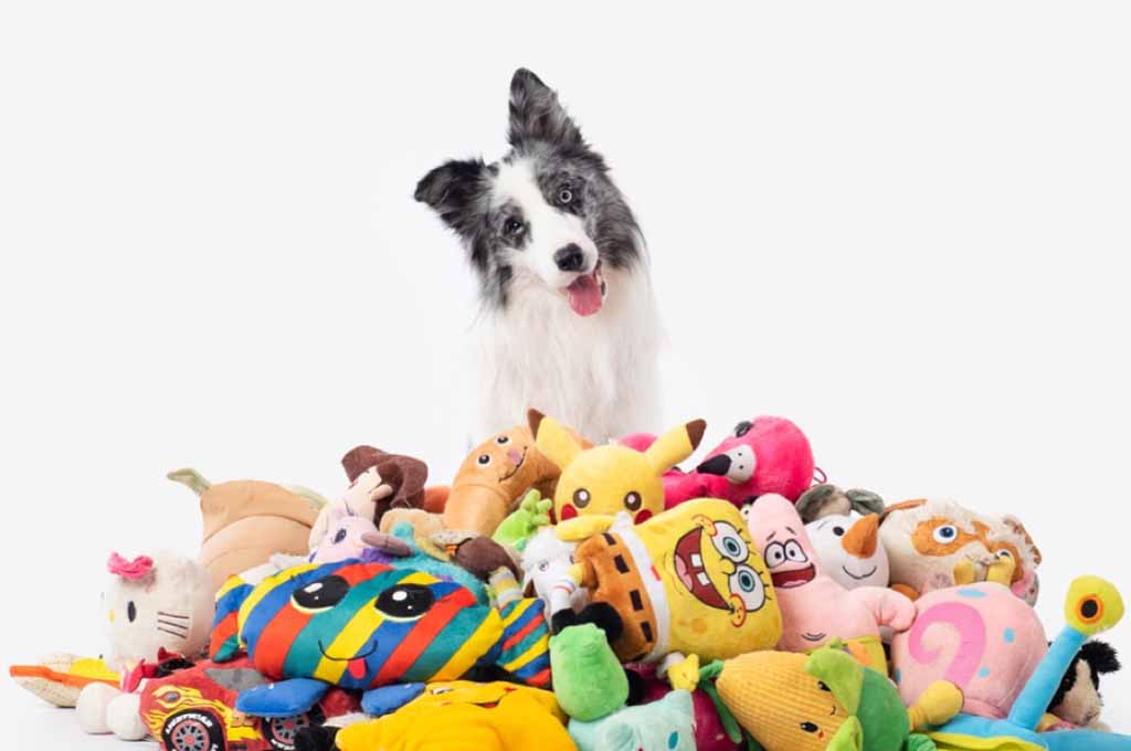 Dog surrounded by a variety of colorful plush toys.