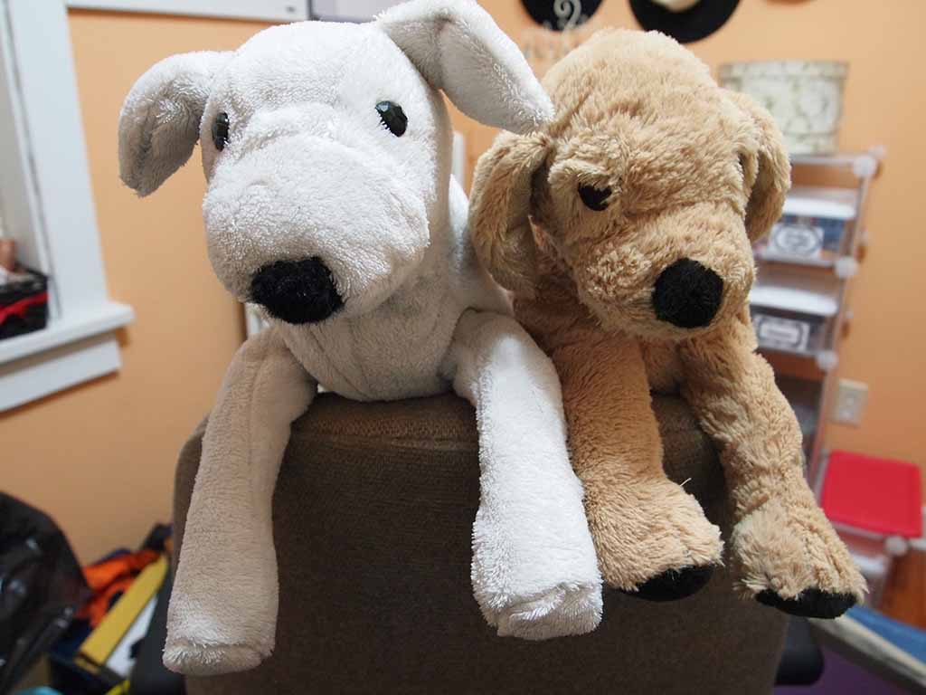 Two soft plush dog toys, one white and one light brown, leaning over the back of a chair with their front legs hanging down in a cozy indoor room.
